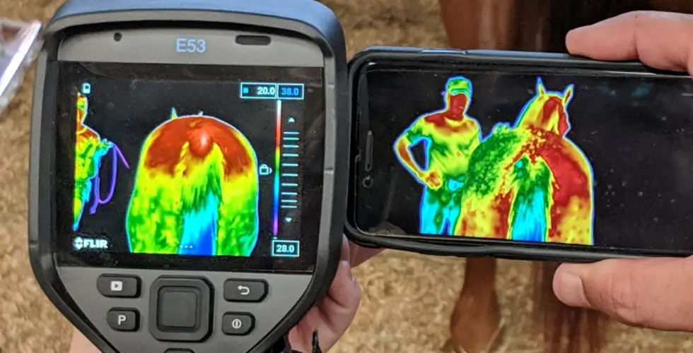 TREINAMENTO EM TERMOGRAFIA CLÍNICA VETERINÁRIA (100% ONLINE)