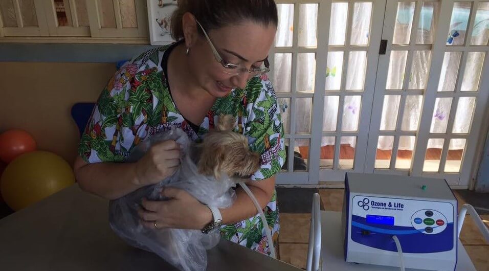 CAPACITAÇÃO INTENSIVA EM OZONIOTERAPIA VETERINÁRIA (HÍBRIDO)
