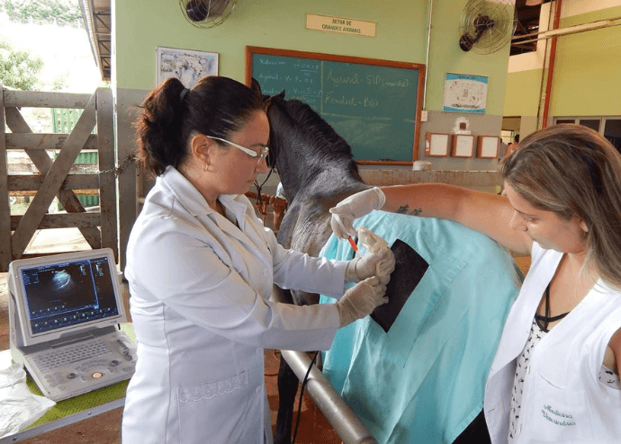 Onde as ciências convergem